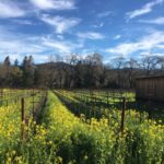 bragg-vineyards-mustard-barn-IMG_8181